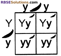 RBSE Solutions For Class 10 Science