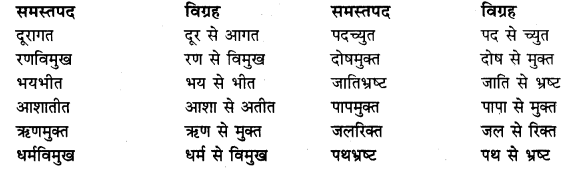 Class 10 Hindi Grammar Samas Solutions