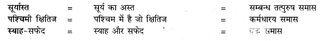 Samas In Hindi RBSE Ch2