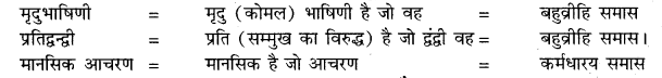 RBSE Hindi Solution Class 10
