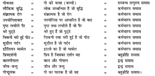 Class 10 RBSE Hindi Solution ch 2