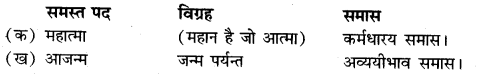 Samas Vigraha Examples In Hindi