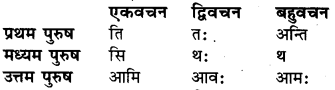 Dhatu Roop In Sanskrit For Class 6 RBSE