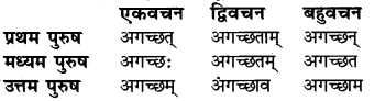 Lakar In Sanskrit RBSE Class 6