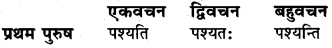 Sanskrit Mein Kriya RBSE Class 6