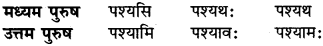 Tyaj Dhatu In Sanskrit RBSE Class 6 