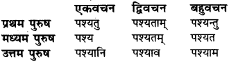 Lakar In Sanskrit Grammar RBSE Class 6 