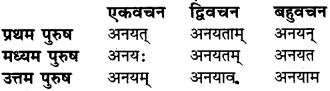 Sanskrit Mein Kitne Purush Hote Hain Class 6