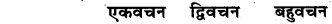 All Lakar In Sanskrit RBSE Class 6