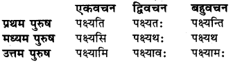 Sanskrit Vyakaran Dhatu Roop RBSE Class 6 
