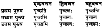 Sanskrit Class 6 Dhatu Roop RBSE