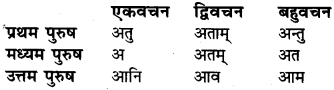 Dhatu Roop In Sanskrit Class 6 RBSE