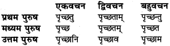 Sanskrit Dhatu Roop For Class 6 RBSE