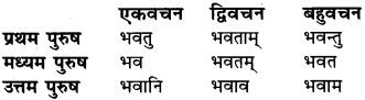 Dhatu Ke Prakar In Sanskrit RBSE Class 6 