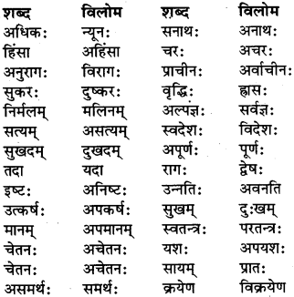 Vilom Shabd In Sanskrit For Class 6 RBSE Class 6 Sanskrit 
