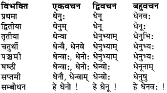 Shabdrupani In Sanskrit Class 6 RBSE