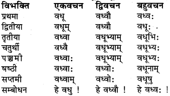 Shabd Roop In Sanskrit Class 6 RBSE