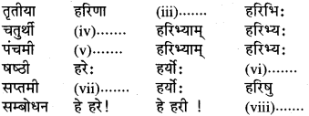 Sanskrit Class 6 Shabd Roop RBSE