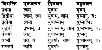 Shabd Roop Sanskrit Class 6 RBSE