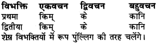 Sanskrit Shabd Roop Class 6 RBSE