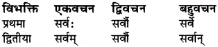 Shabd Rupani In Sanskrit Class 6 RBSE