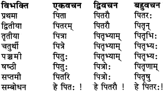 शब्द रूप संस्कृत में RBSE