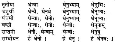 Class 7 Sanskrit Shabd Roop RBSE
