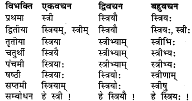 Sanskrit Shabd Roop RBSE Class 7
