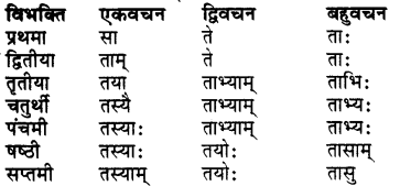 Bhanu Shabd Roop In Sanskrit RBSE Class 7