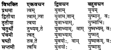 Bhanu Sanskrit Table RBSE Class 7