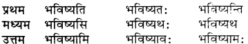 Bhanu Sanskrit Shabd Roop RBSE Class 7