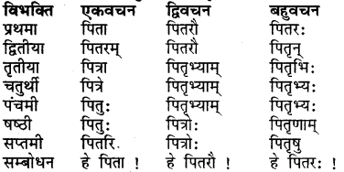 Class 7 Sanskrit Dhatu Roop RBSE 