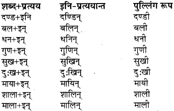 class 8 sanskrit pratyay RBSE 