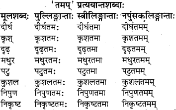 sanskrit pratyay class 8 RBSE