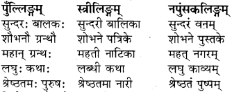 Visheshan In Sanskrit RBSE Class 8