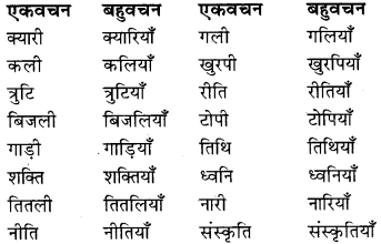 Vachan Badlo In Hindi RBSE Class 9