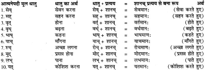 pratyay class 9 sanskrit RBSE