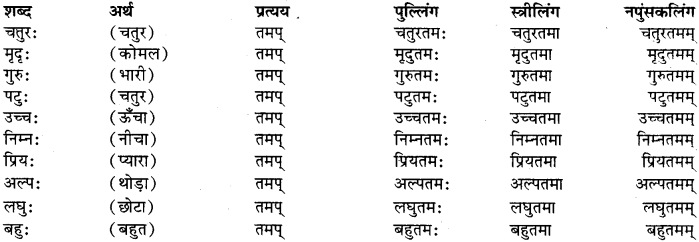 pratyay sanskrit class 9 RBSE