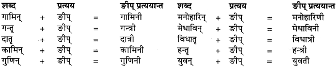 क्त वाले शब्द in hindi RBSE Class 9