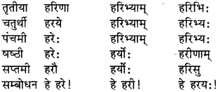 Shabdrupani In Sanskrit Class 9 RBSE Solution