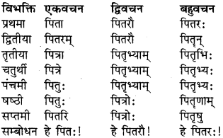 Shabd Roop In Sanskrit Class 9 RBSE Solution