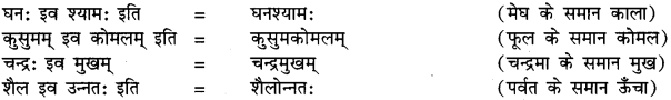 अव्ययीभाव समास In Sanskrit RBSE