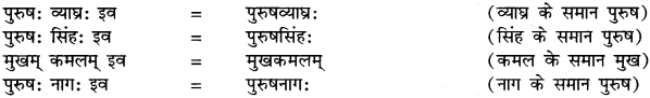 Samas In Sanskrit RBSE