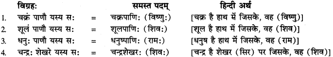 Ashtadhyayi Samas Vigrah In Sanskrit RBSE