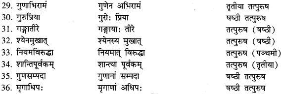 Karmadharaya Samas In Sanskrit