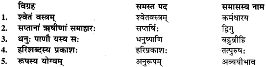Sanskrit Mein Samas Vigrah RBSE Class 9