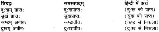 Bahuvrihi Samas Examples In Sanskrit RBSE