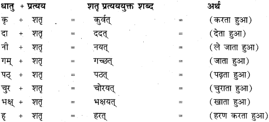 Sanskrit Prakriti Pratyay RBSE Class 11