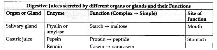 RBSE Class 10 Science Chapter 2 Notes Human System
