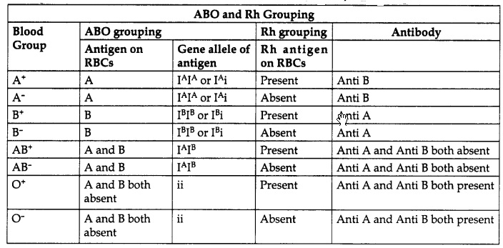 Immunity And Blood Group Class 10 RBSE Notes